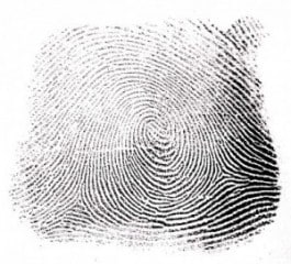 police scientifique empreinte police scientifique empreinte