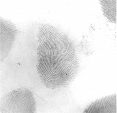 police scientifique trace papillaire digitale police scientifique trace papillaire digitale